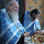 Наставник и утешитель