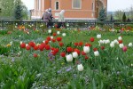 Господь призывает к Себе людей разными средствами