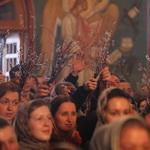 Проповедь в Вербное Воскресенье