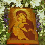 IMG_0008_resize_resize