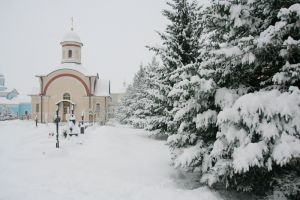 В терпении стяжите души ваши