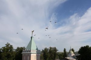 Из очерка В. Солоухина &laquo;Время собирать камни&raquo;